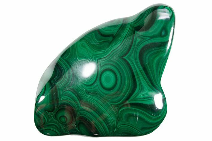 Flowery Polished Malachite Specimen - DR Congo #360787